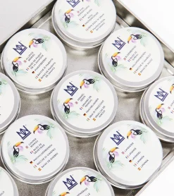 Kit pour infuser votre gin