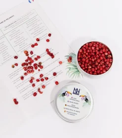 Kit pour infuser votre gin