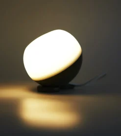 Lampe portable multi usage