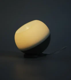 Lampe portable multi usage