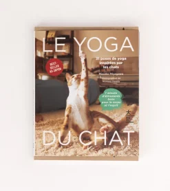 Le Yoga du Chat