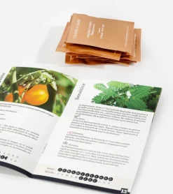 Légumes insolites à faire pousser