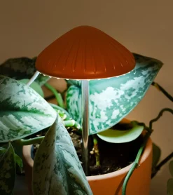 Lumière de culture en forme de champignon