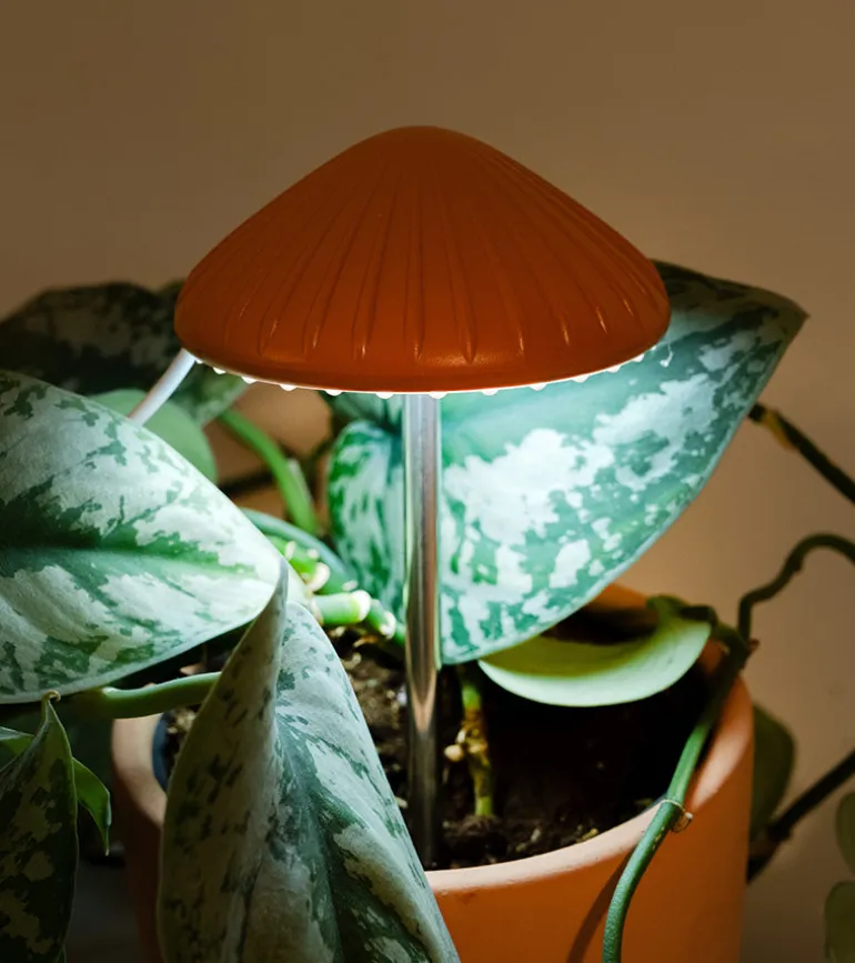 Lumière de culture en forme de champignon