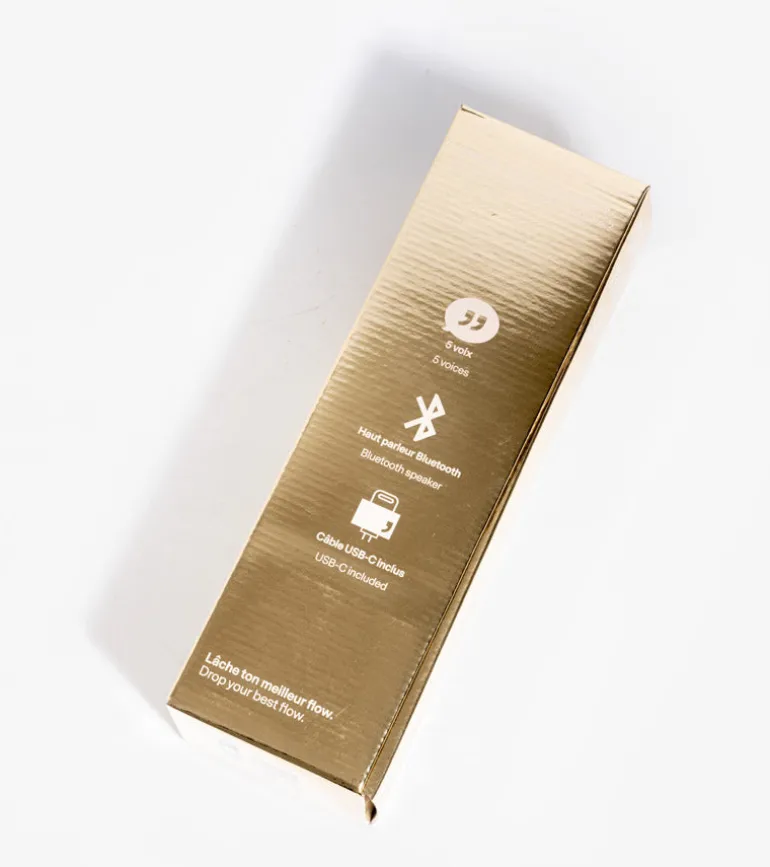 Micro enceinte Karaoké