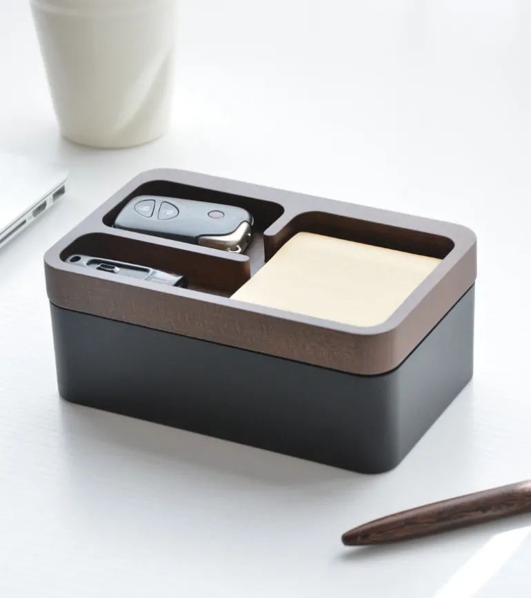 Organisateur vide-poches magnétique