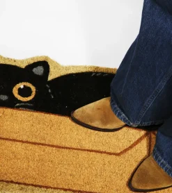 Paillasson Chat caché