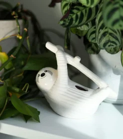 Paresseux à faire pousser