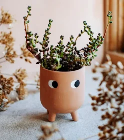 Petit cache-pot à fleur en terre cuite