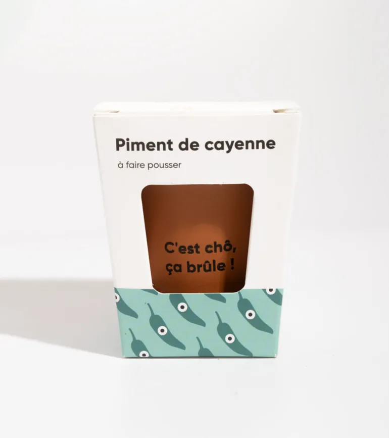 Piment à faire pousser