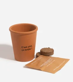 Piment à faire pousser