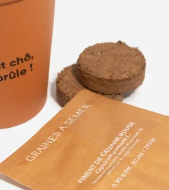 Piment à faire pousser