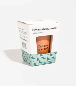 Piment à faire pousser