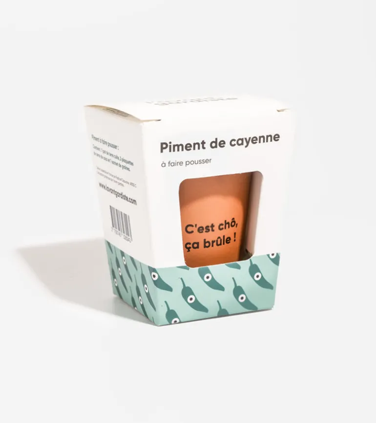 Piment à faire pousser