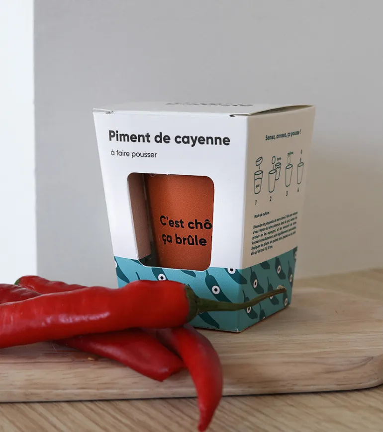 Piment à faire pousser