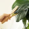 Pince de nettoyage pour feuilles