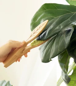 Pince de nettoyage pour feuilles