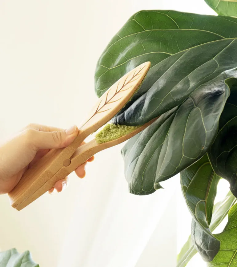 Pince de nettoyage pour feuilles