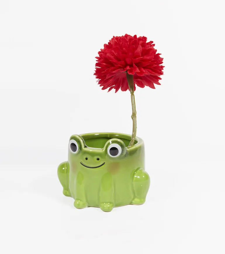 Pot à plante grenouille