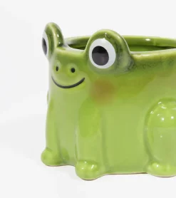 Pot à plante grenouille