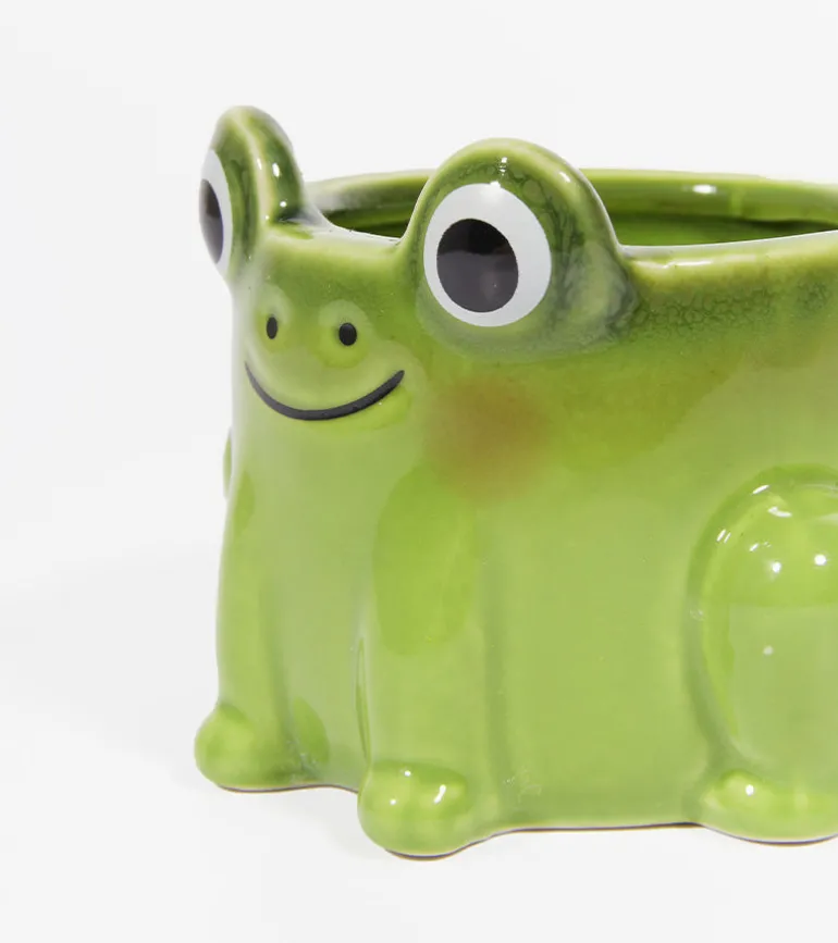 Pot à plante grenouille