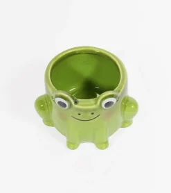 Pot à plante grenouille