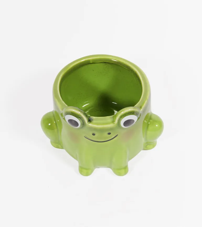 Pot à plante grenouille