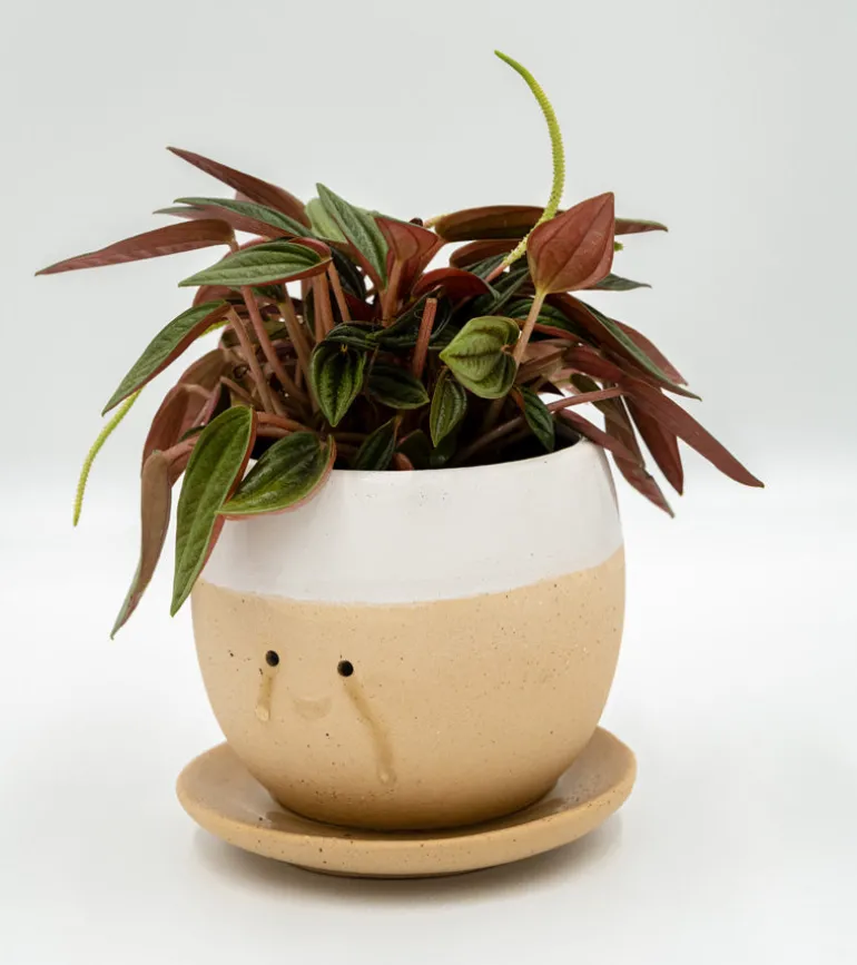 Pot à plante qui pleure (de joie)