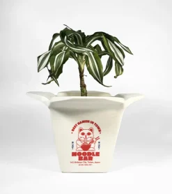 Pot à plantes Ramen