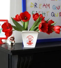 Pot à plantes Ramen