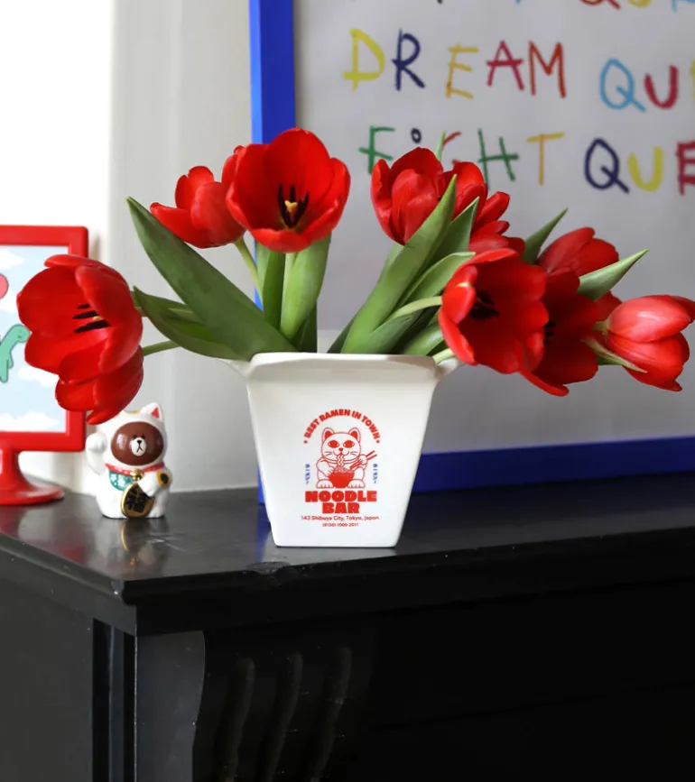 Pot à plantes Ramen