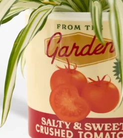 Pot à plantes sauce tomate