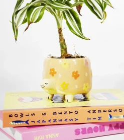Pot à plantes tortue