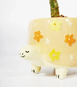 Pot à plantes tortue