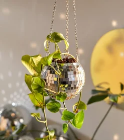 Pot de plantes disco boule à facettes