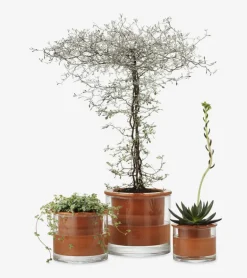 Pot en céramique intelligent Wet Pot