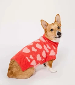 Pull coeurs pour animaux
