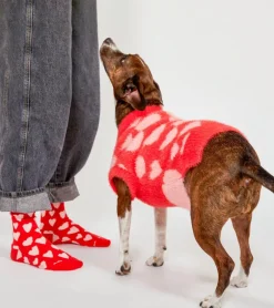 Pull coeurs pour animaux