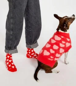 Pull coeurs pour animaux