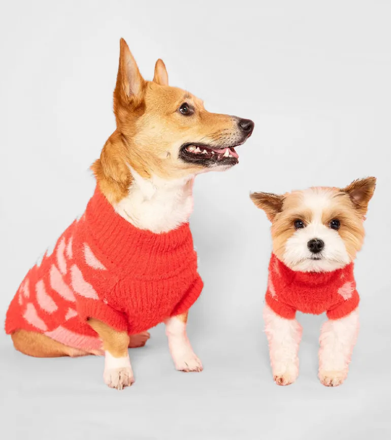 Pull coeurs pour animaux