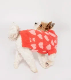 Pull coeurs pour animaux