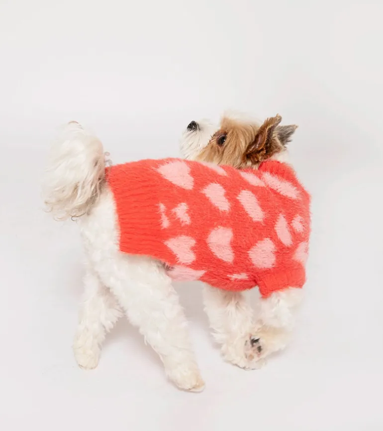 Pull coeurs pour animaux