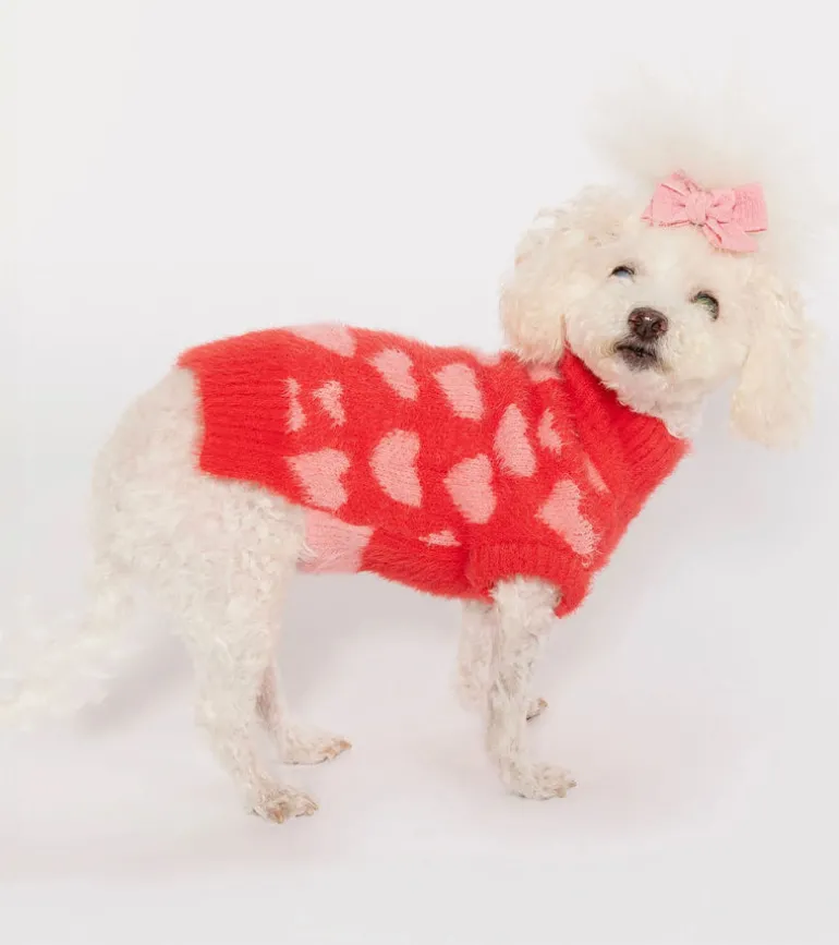 Pull coeurs pour animaux