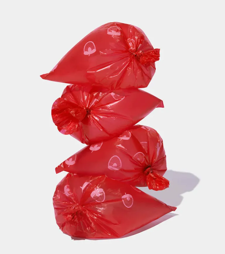 Sacs à crottes à la fraise