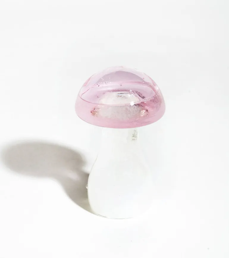 Storm glass champignon