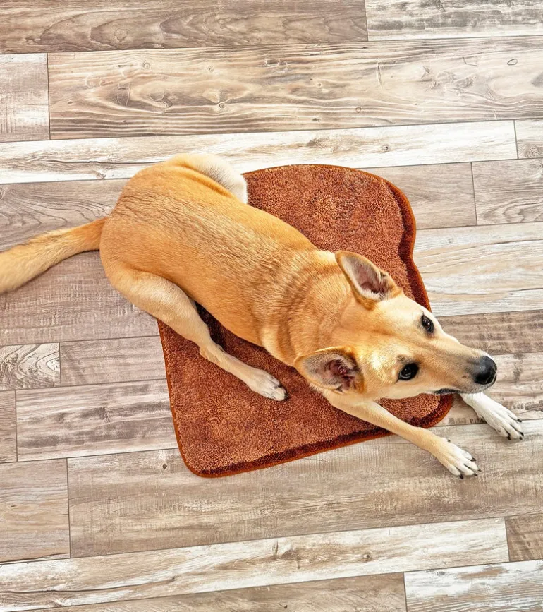 Tapis Toast
