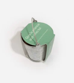 Trèfle à 4 feuilles à faire pousser