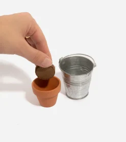 Trèfle à 4 feuilles à faire pousser