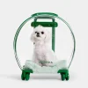 Valise Bubble pour animaux - Vert