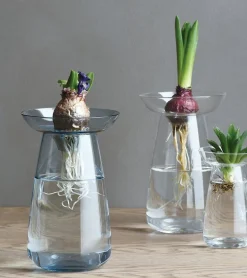 Vase à hydroculture